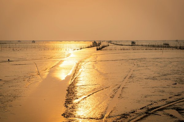 Saisir l'occasion : comprendre les offres spéciales dans le tourisme